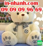 Shop gấu bông dễ thương